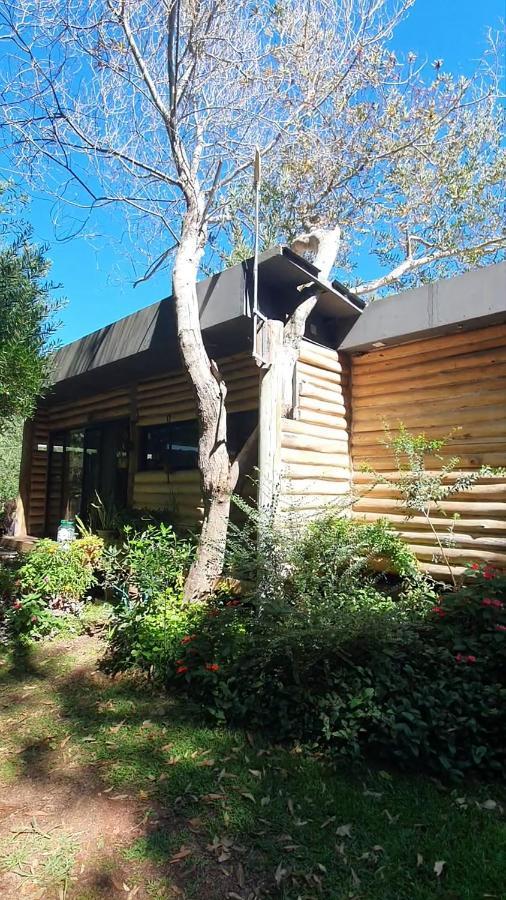 Chalet Los Troncos Sauce de Portezuelo Exteriér fotografie