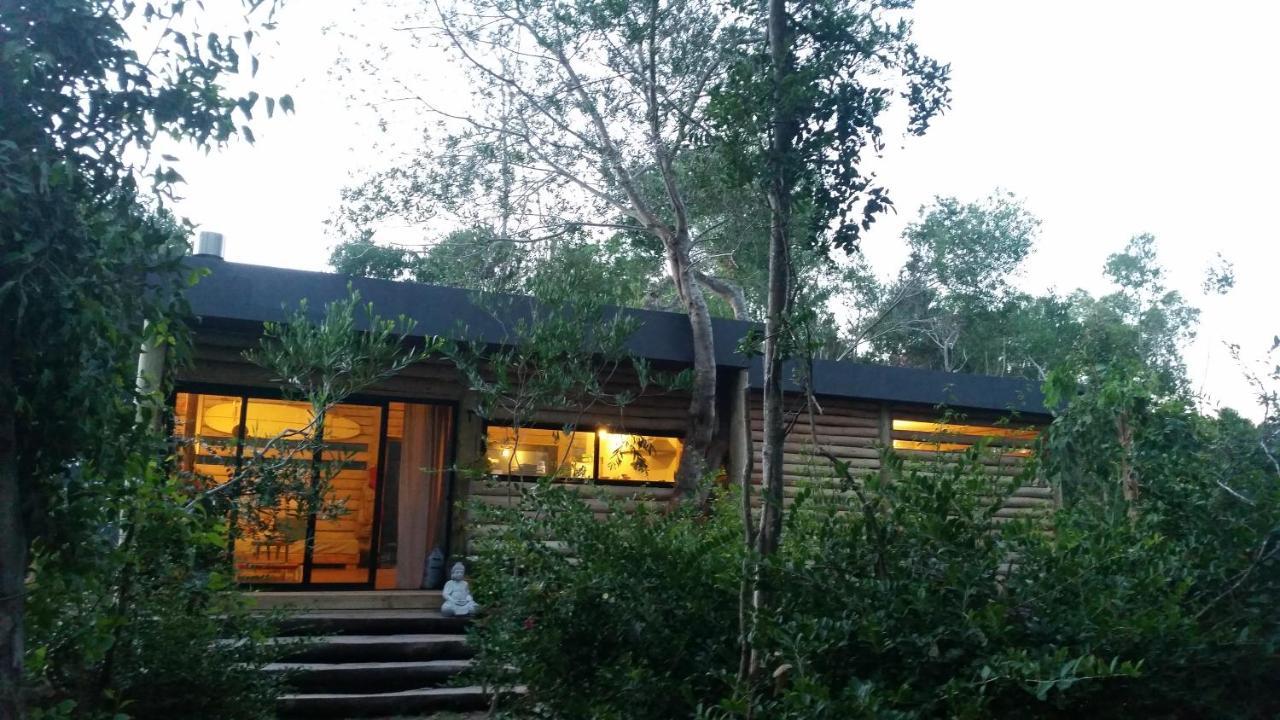 Chalet Los Troncos Sauce de Portezuelo Exteriér fotografie