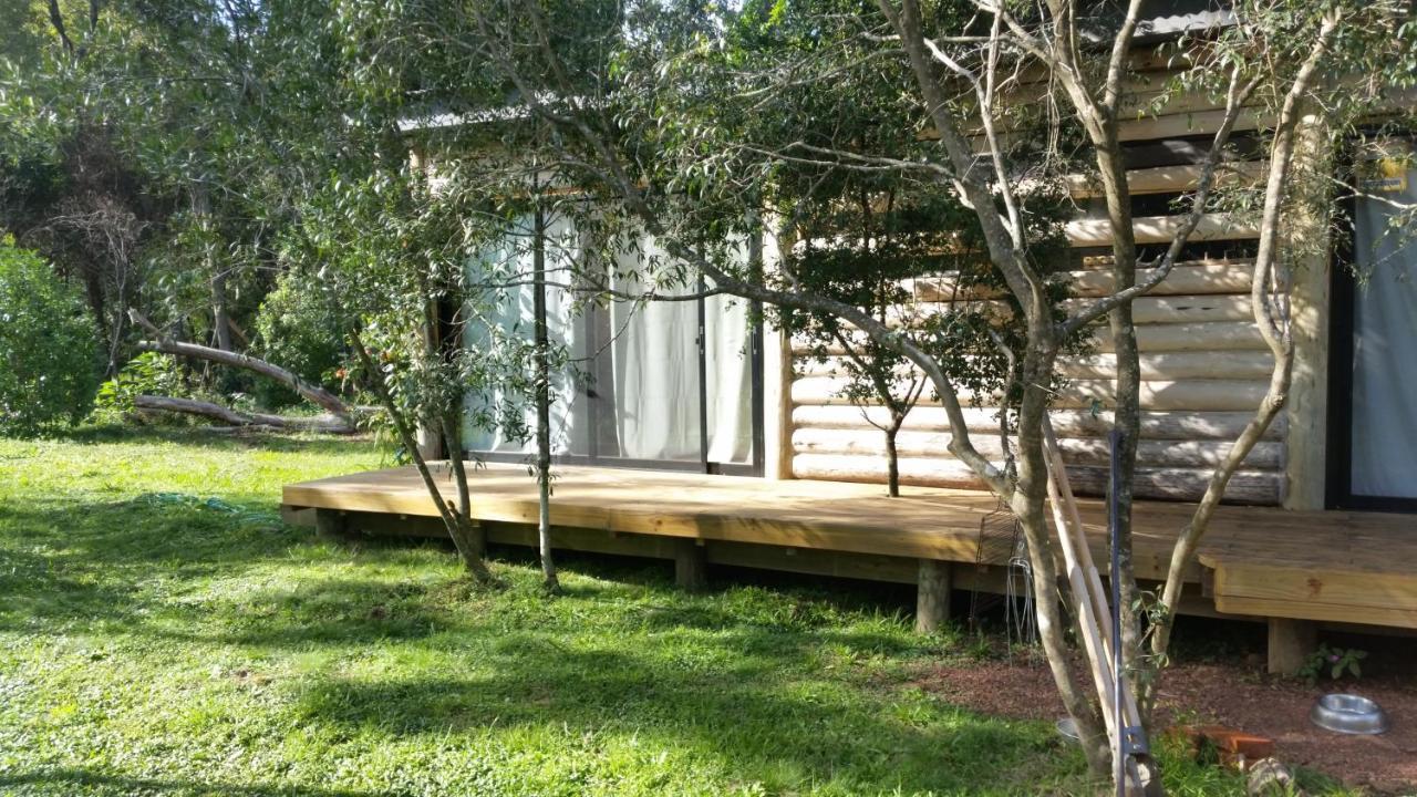 Chalet Los Troncos Sauce de Portezuelo Exteriér fotografie